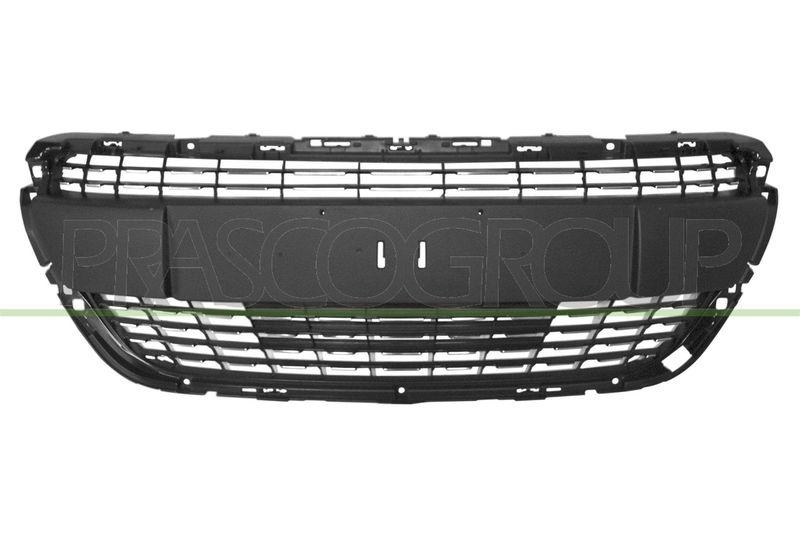 Radiator Grille