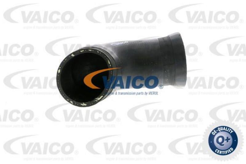 VAICO Charger Air Hose Q+, original equipment manufacturer quality