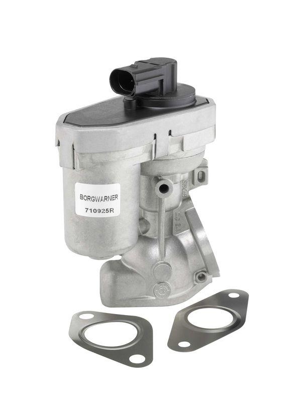 BorgWarner (Wahler) EGR Valve