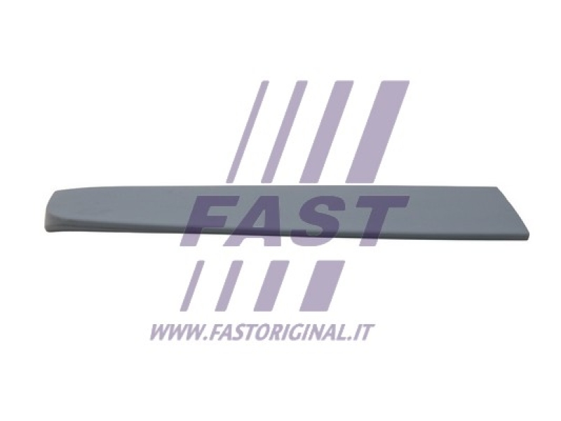 FAST Spoiler