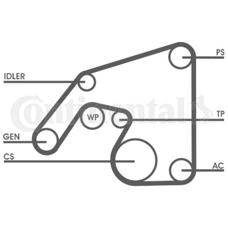 CONTITECH Keilrippenriemensatz