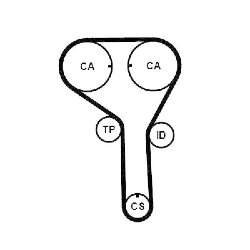 CONTINENTAL CTAM Zahnriemen