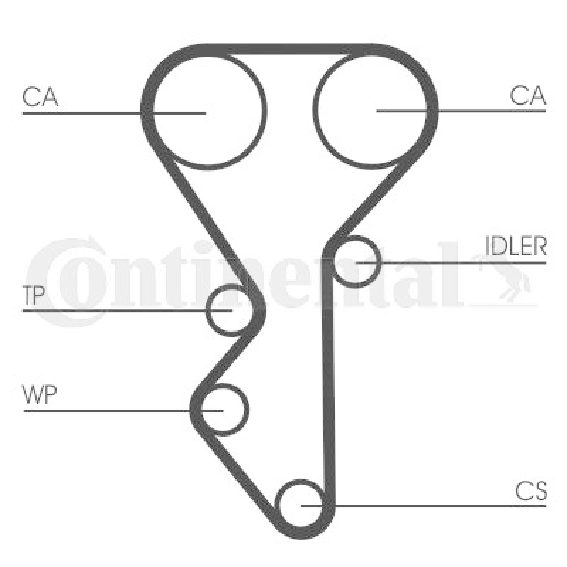 CONTINENTAL CTAM Wasserpumpe + Zahnriemensatz