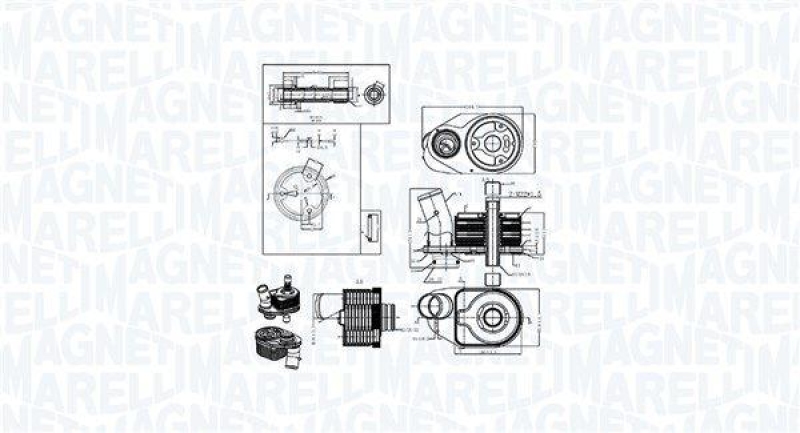 MAGNETI MARELLI Ölkühler, Motoröl