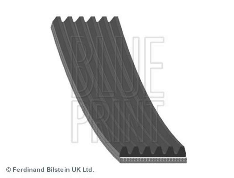 BLUE PRINT V-Ribbed Belts