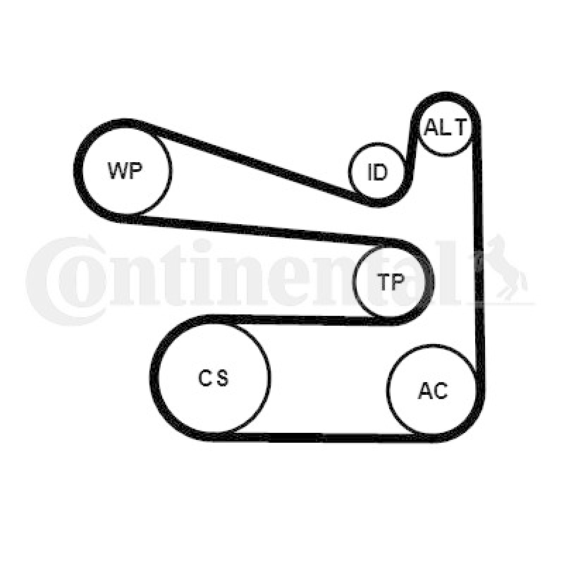 CONTINENTAL CTAM V-Ribbed Belt Set