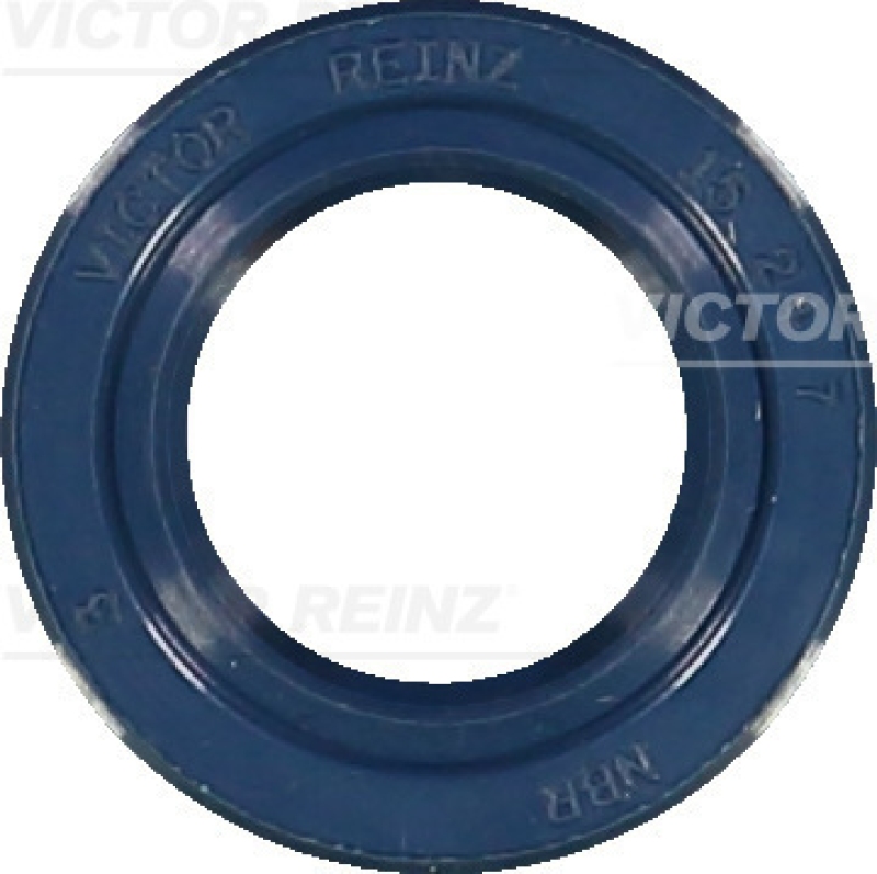 VICTOR REINZ Seal Ring, gearshift linkage