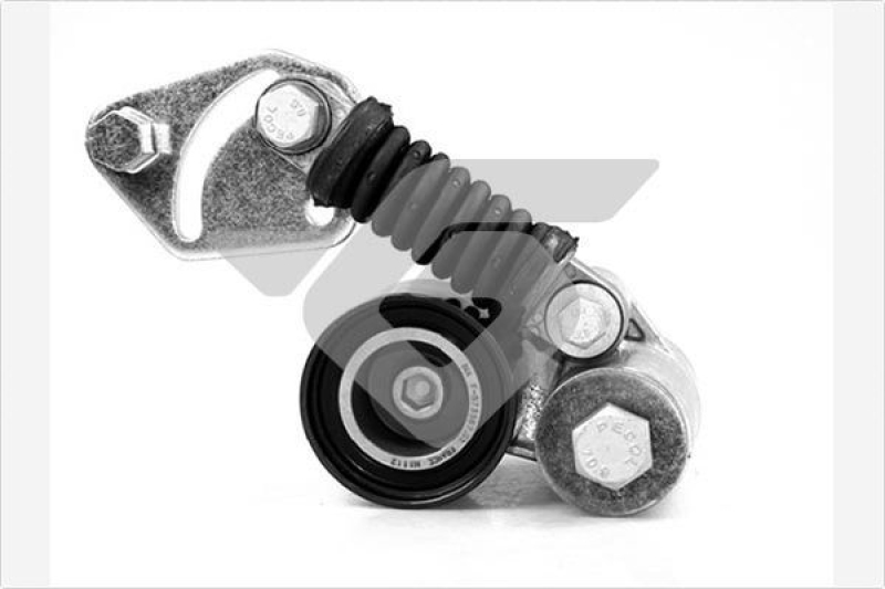 HUTCHINSON Tensioner Pulley, V-ribbed belt