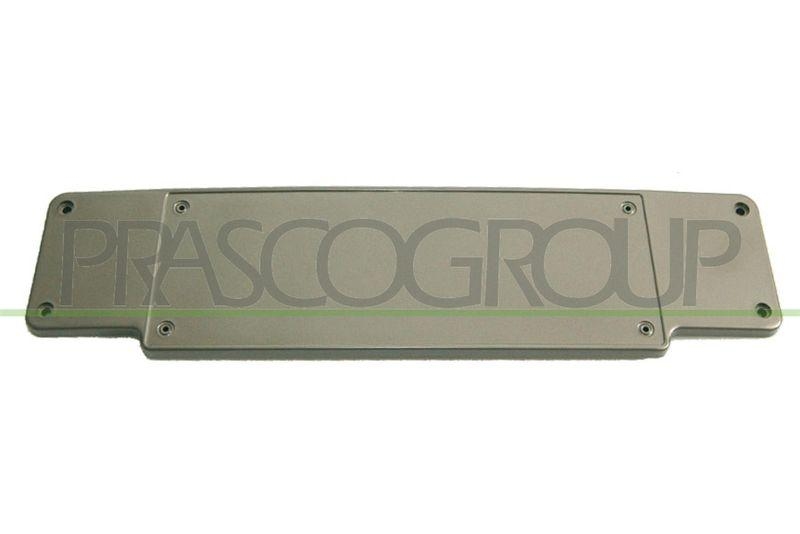 Licence Plate Holder