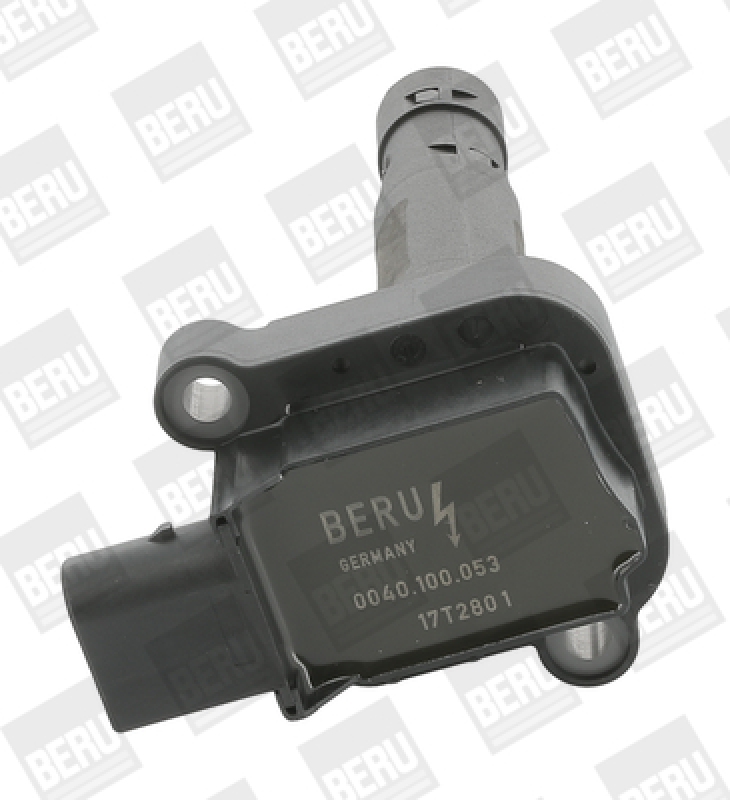 BorgWarner (BERU) Ignition Coil