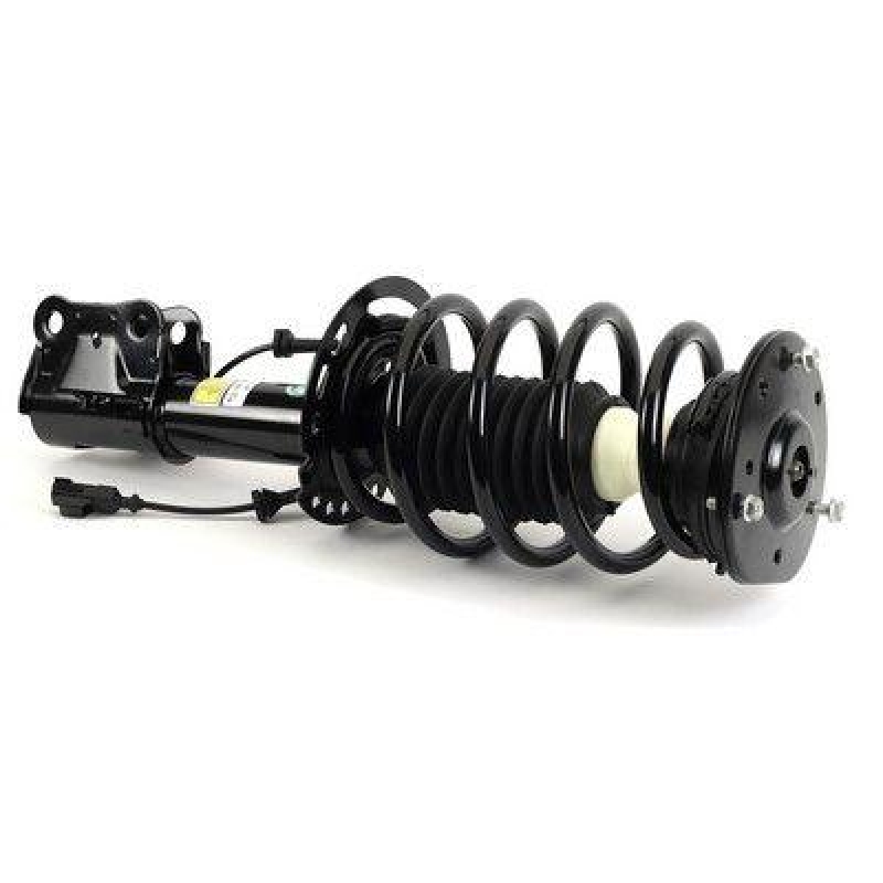 Arnott Shock Absorber