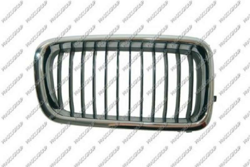 Radiator Grille