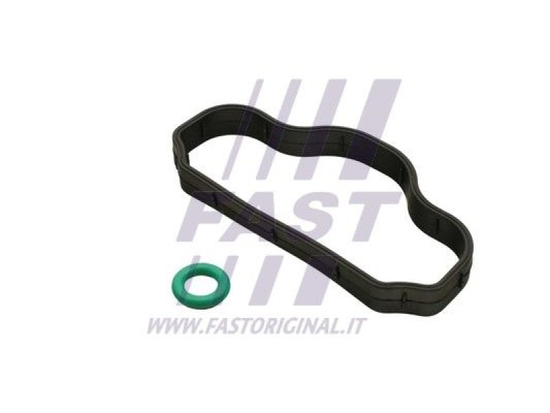FAST Seal Ring, cylinder head cover bolt