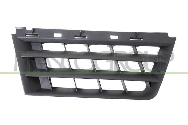 Radiator Grille Premium