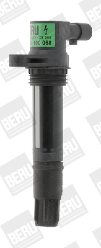 BorgWarner (BERU) Ignition Coil