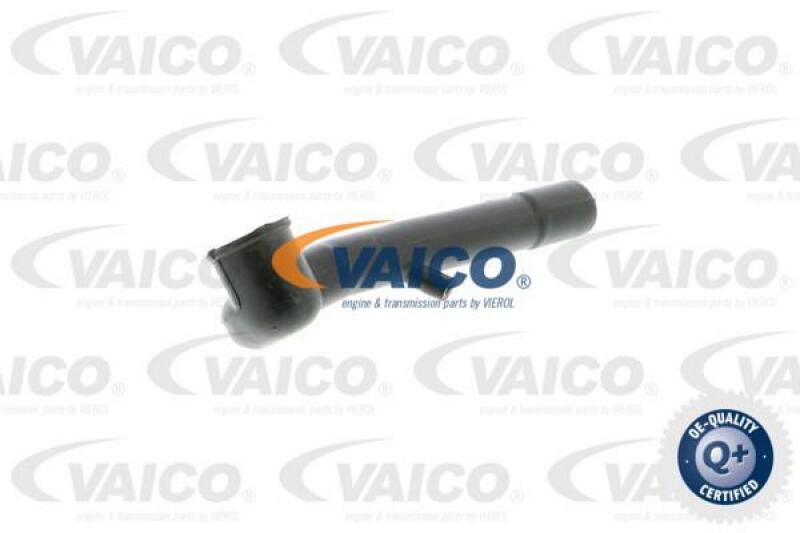 VAICO Hose, crankcase breather Q+, original equipment manufacturer quality