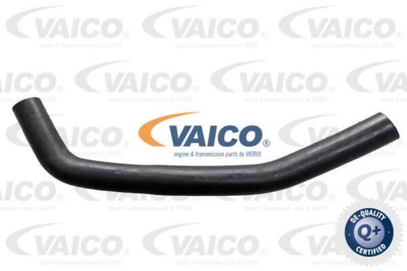 VAICO Radiator Hose Q+, original equipment manufacturer quality