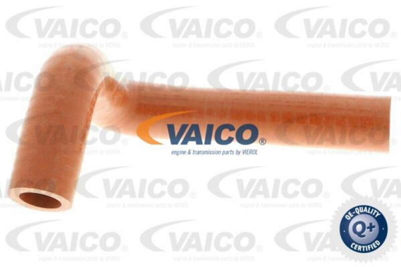 VAICO Charger Air Hose Q+, original equipment manufacturer quality