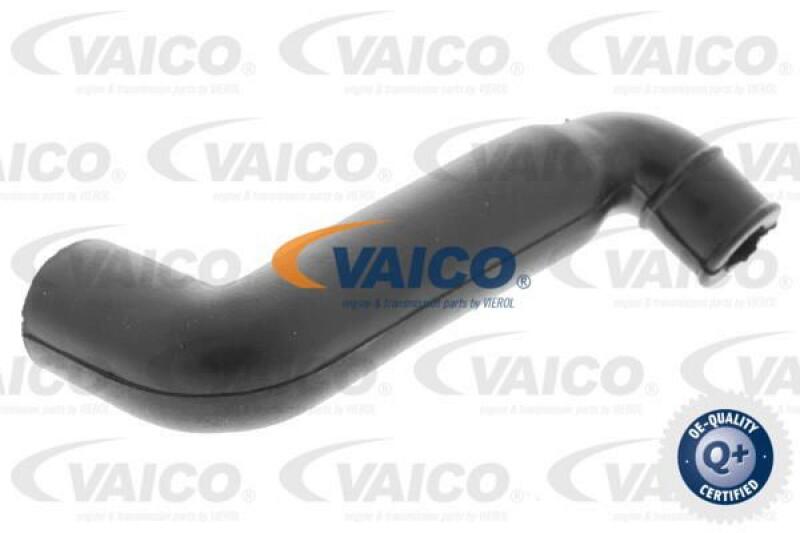 VAICO Hose, air supply Q+, original equipment manufacturer quality