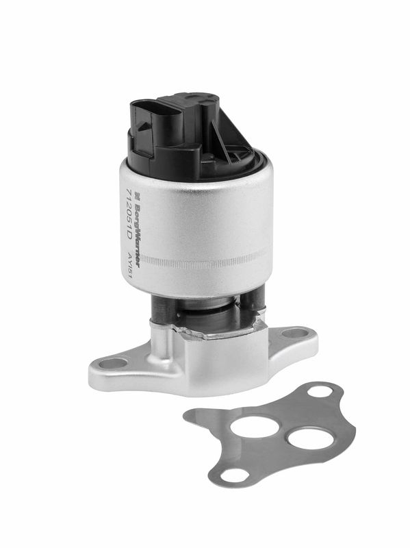 BorgWarner (Wahler) AGR-Ventil