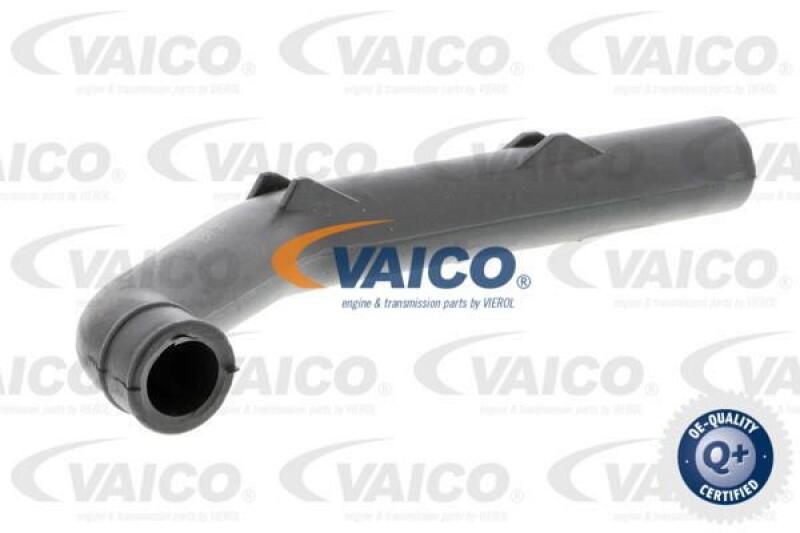 VAICO Hose, air supply Q+, original equipment manufacturer quality