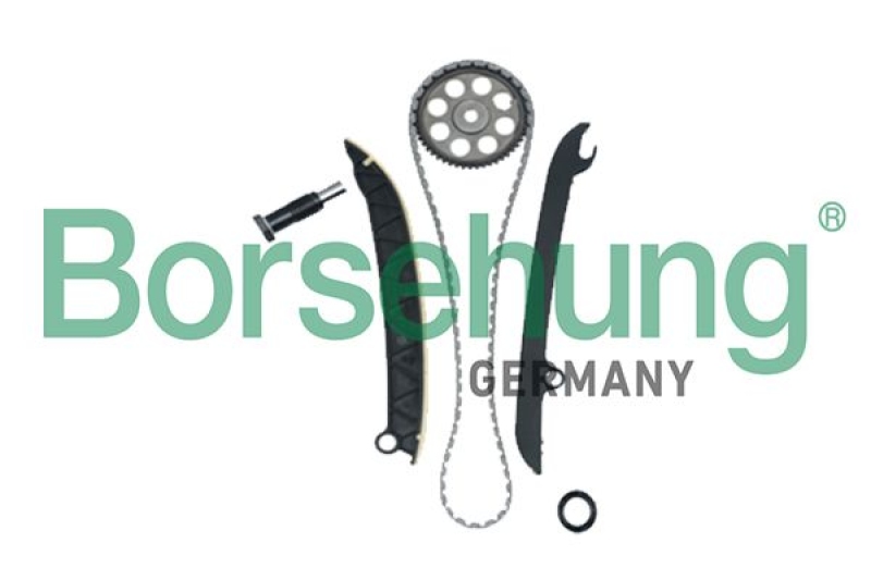 Borsehung Timing Chain Kit