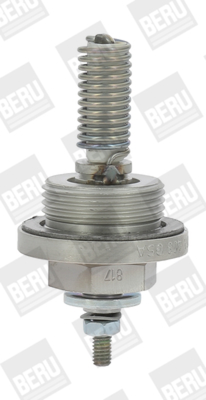 BorgWarner (BERU) Glow Plug, parking heater