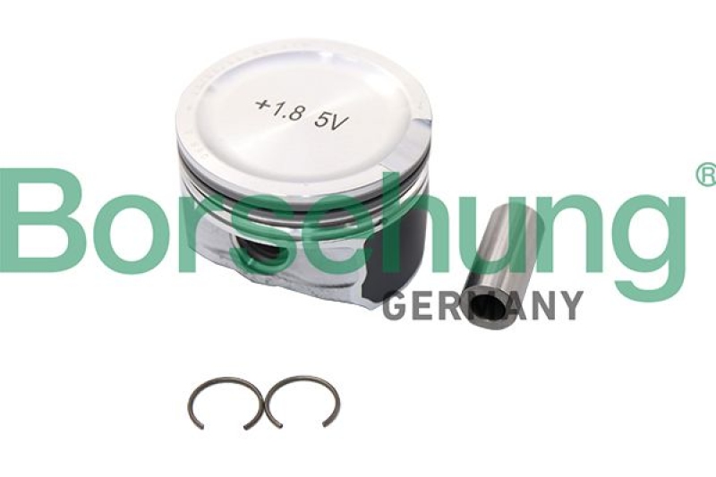 Borsehung Piston Ring Kit