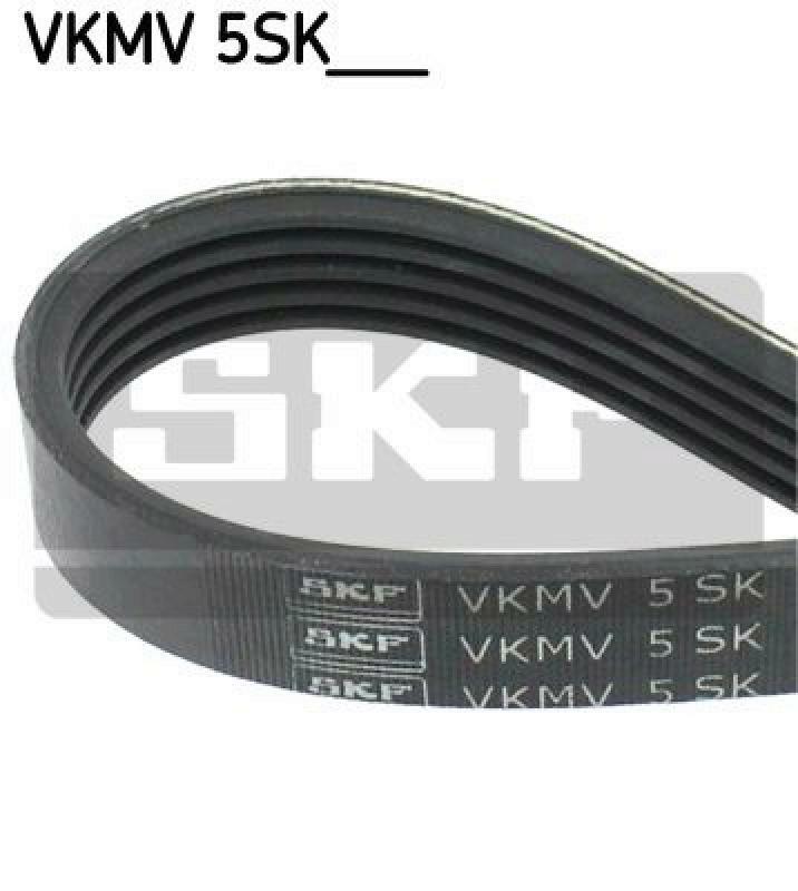 SKF Keilrippenriemen