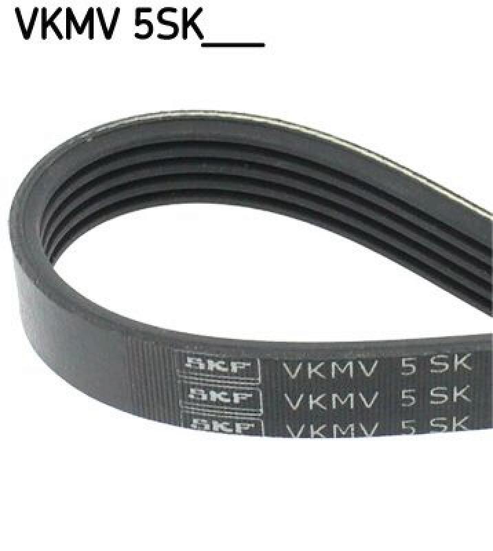 SKF V-Ribbed Belt