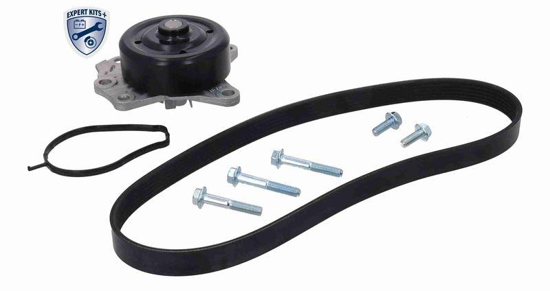 ACKOJA Water Pump + V-Ribbed Belt Set EXPERT KITS +