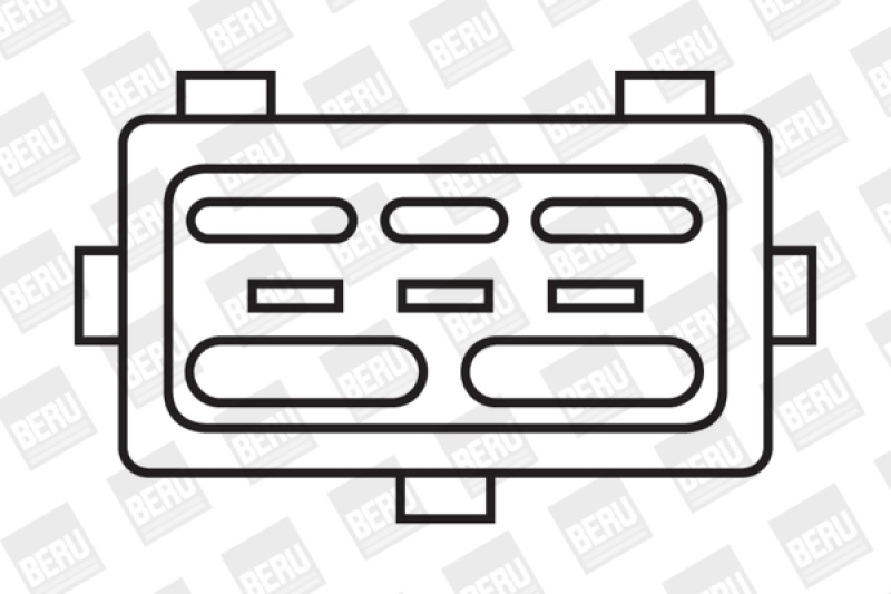 BorgWarner (BERU) Ignition Coil