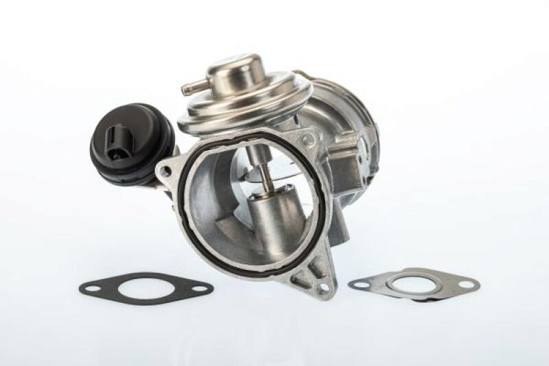 BorgWarner (Wahler) EGR Valve