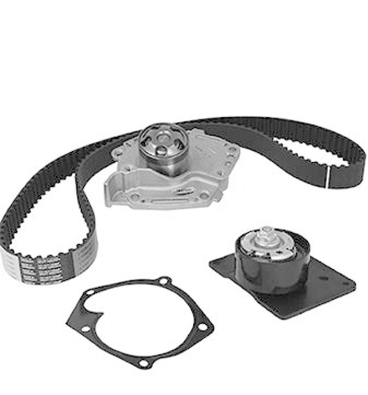 METELLI Water Pump & Timing Belt Set