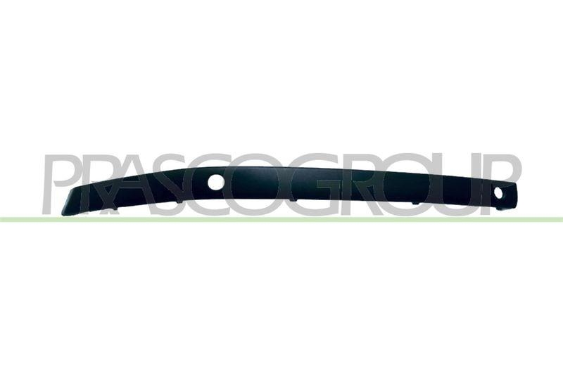 Trim/Protective Strip, bumper