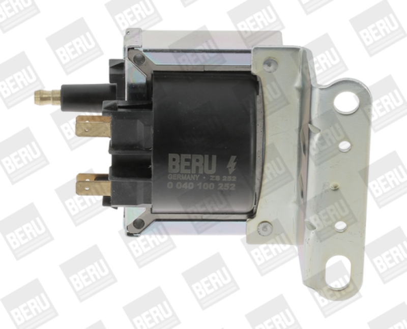 BorgWarner (BERU) Ignition Coil