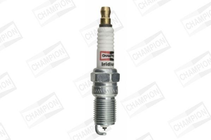 CHAMPION Spark Plug IRIDIUM