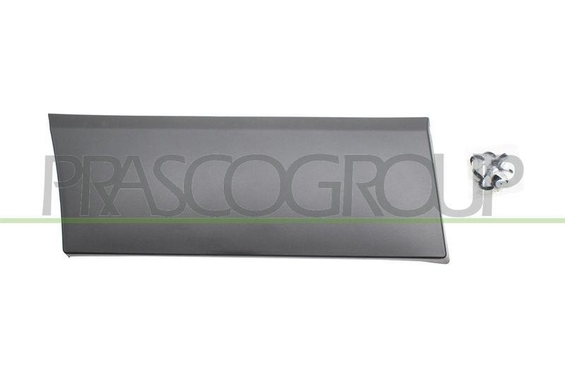 PRASCO Trim/Protective Strip, wing