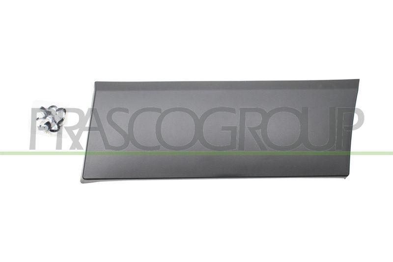 PRASCO Trim/Protective Strip, wing