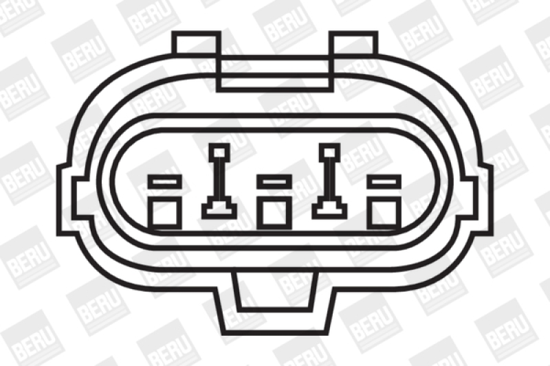 BorgWarner (BERU) Zündspule