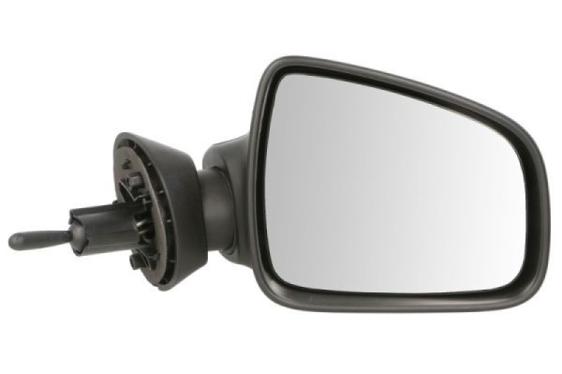 BLIC Exterior Mirror