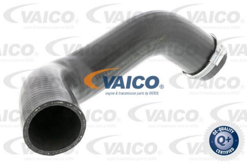 VAICO Charger Air Hose Q+, original equipment manufacturer quality