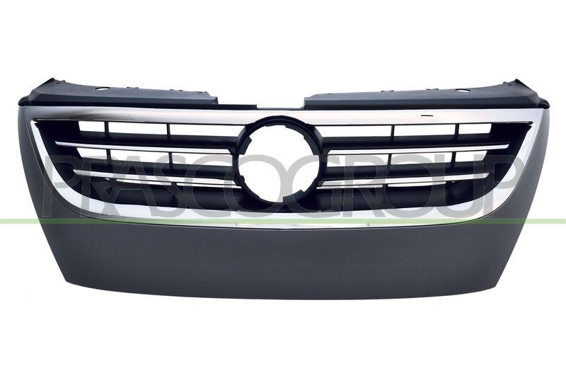 Radiator Grille