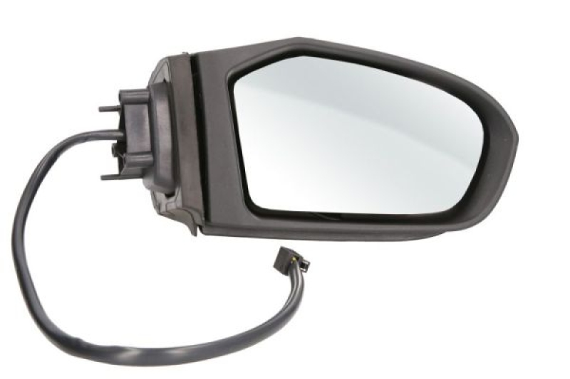 BLIC Exterior Mirror