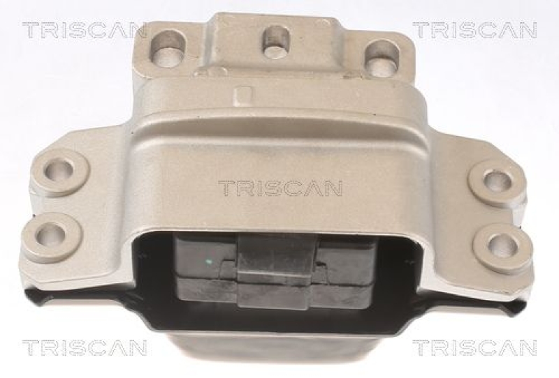 TRISCAN Lagerung, Motor