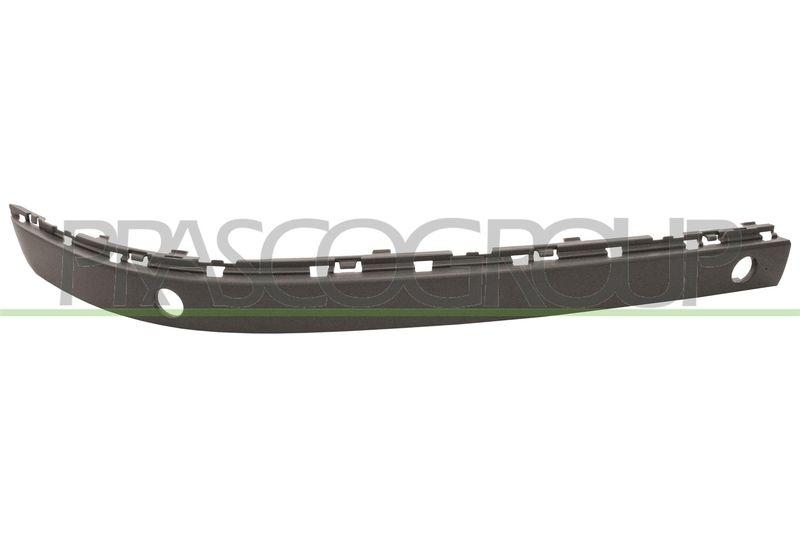 Trim/Protective Strip, bumper