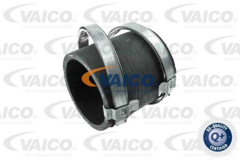 VAICO Charger Air Hose Q+, original equipment manufacturer quality