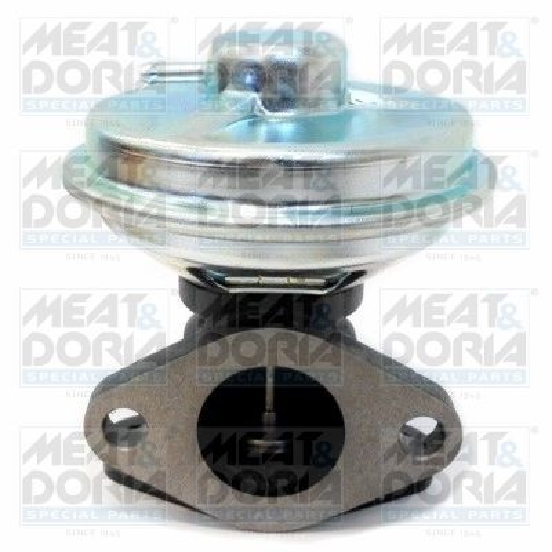 MEAT & DORIA EGR Valve