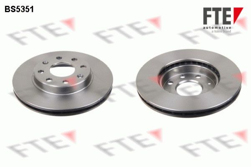 2x FTE Brake Disc