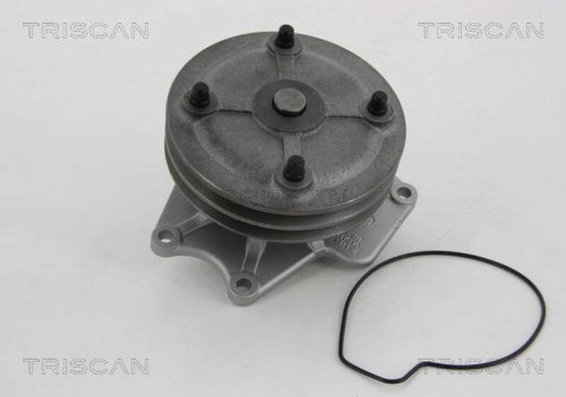 TRISCAN Water Pump